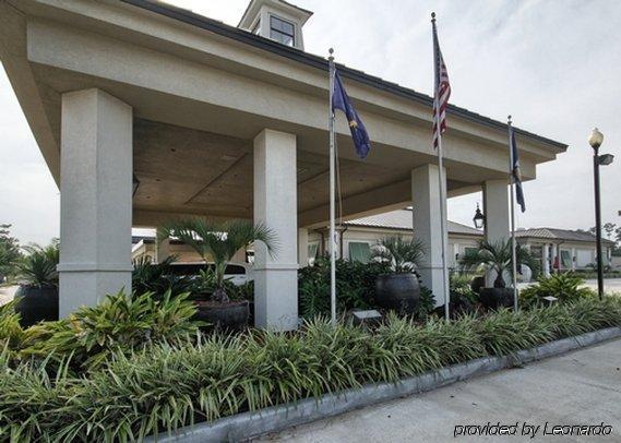 Clarion Inn & Suites Conference Center Covington Extérieur photo